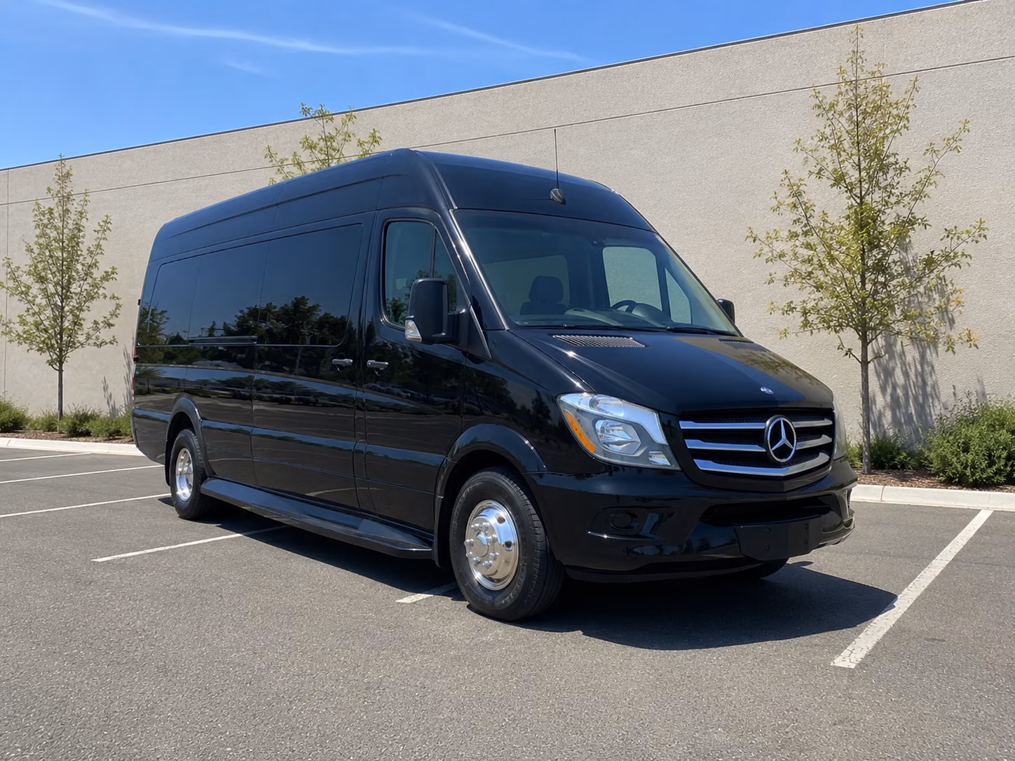 fort worth birthday party transportation onboard seating